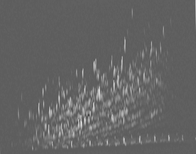 Chromatographic peaks and noise baseline separation with sparsity